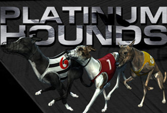 Platinum Hounds